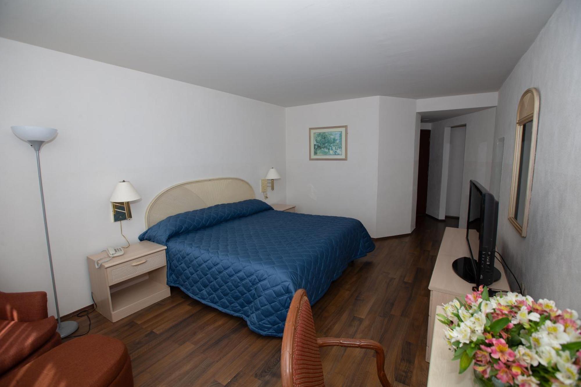 Hotel San Francisco Толука-де-Лердо Экстерьер фото